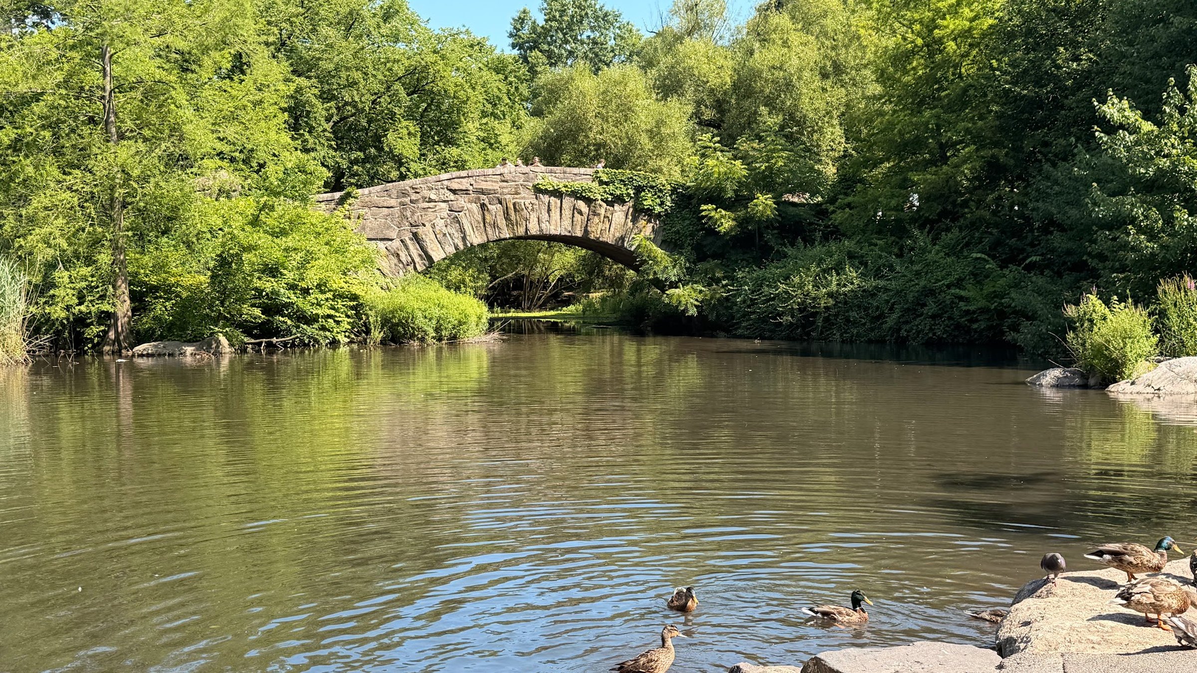 New York City: Chasing the Main-Character Feeling